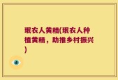 珉农人黄精(珉农人种植黄精，助推乡村振兴)