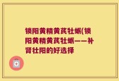锁阳黄精黄芪牡蛎(锁阳黄精黄芪牡蛎——补肾壮阳的好选择