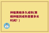 种植黄精多久成熟(黄精种植到成熟需要多长时间？)