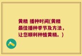 黄精 播种时间(黄精最佳播种季节及方法，让您顺利种植黄精。)