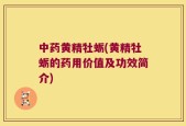中药黄精牡蛎(黄精牡蛎的药用价值及功效简介)