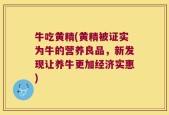 牛吃黄精(黄精被证实为牛的营养良品，新发现让养牛更加经济实惠)