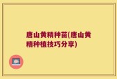 唐山黄精种苗(唐山黄精种植技巧分享)