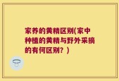 家养的黄精区别(家中种植的黄精与野外采摘的有何区别？)