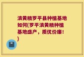 滇黄精罗平县种植基地如何(罗平滇黄精种植基地盛产，质优价廉！)