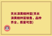 天长滇黄精种苗(天长滇黄精种苗销售，品种齐全，质量可靠)