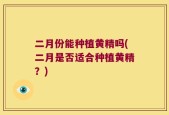 二月份能种植黄精吗(二月是否适合种植黄精？)