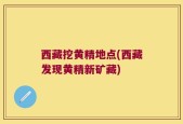 西藏挖黄精地点(西藏发现黄精新矿藏)