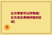 北方哪里可以种黄精(北方适合黄精种植的区域)