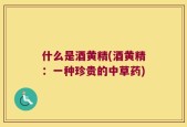 什么是酒黄精(酒黄精：一种珍贵的中草药)