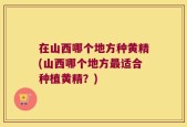 在山西哪个地方种黄精(山西哪个地方最适合种植黄精？)
