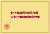 安化黄精照片(照片揭示安化黄精的神奇效果)