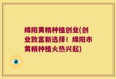 绵阳黄精种植创业(创业致富新选择！绵阳市黄精种植火热兴起)