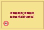 滇黄精断面(滇黄精所在断面地质特征研究)