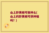 山上野黄精可做种么(山上的野黄精可供种植吗？)