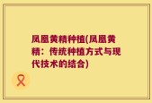 凤凰黄精种植(凤凰黄精：传统种植方式与现代技术的结合)