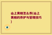 山上黄精怎么养(山上黄精的养护与管理技巧)