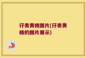 仔姜黄精图片(仔姜黄精的图片展示)