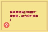 昆明黄精苗(昆明推广黄精苗，助力农户增收)