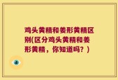 鸡头黄精和姜形黄精区别(区分鸡头黄精和姜形黄精，你知道吗？)