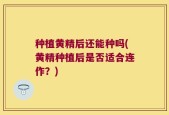 种植黄精后还能种吗(黄精种植后是否适合连作？)