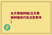 北方黄精种植(北方黄精种植技巧及注意事项)