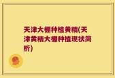 天津大棚种植黄精(天津黄精大棚种植现状简析)