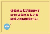 滇黄精与多花黄精种子区别(滇黄精与多花黄精种子的区别是什么？)