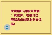 大黄精叶子图(大黄精：抗疲劳、增强记忆、降低焦虑的草本养生佳品)