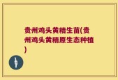 贵州鸡头黄精生苗(贵州鸡头黄精原生态种植)
