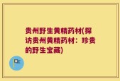 贵州野生黄精药材(探访贵州黄精药材：珍贵的野生宝藏)
