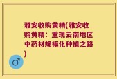 雅安收购黄精(雅安收购黄精：重现云南地区中药材规模化种植之路)