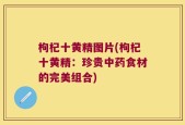 枸杞十黄精图片(枸杞十黄精：珍贵中药食材的完美组合)