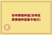 忻州黄精种苗(忻州优质黄精种苗集中推介)
