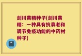 剑川黄精种子(剑川黄精：一种具有抗衰老和调节免疫功能的中药材种子)