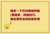搜索一下药材黄精种植(黄精草：种植技巧、病虫害防治和收割处理)
