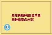 启东黄精种苗(启东黄精种植要点分享)