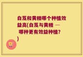 白芨和黄精哪个种植效益高(白芨与黄精 ─ 哪种更有效益种植？)