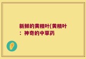 新鲜的黄精叶(黄精叶：神奇的中草药
