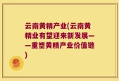 云南黄精产业(云南黄精业有望迎来新发展——重塑黄精产业价值链)
