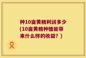 种10亩黄精利润多少(10亩黄精种植能带来什么样的收益？)