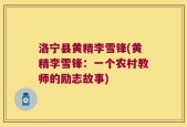 洛宁县黄精李雪锋(黄精李雪锋：一个农村教师的励志故事)