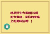 精品野生大黄精(珍稀的大黄精，是你的餐桌上的美味佳肴！)