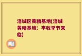 涪城区黄精基地(涪城黄精基地：丰收季节来临)