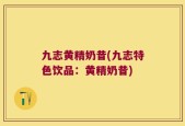 九志黄精奶昔(九志特色饮品：黄精奶昔)