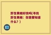 野生黄精好找吗(寻找野生黄精：你需要知道什么？)