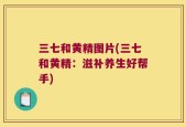 三七和黄精图片(三七和黄精：滋补养生好帮手)