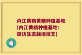 内江黄精黄精种植基地(内江黄精种植基地：探访生态栽培技艺)