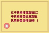 辽宁黄精种苗直销(辽宁黄精种苗批发直销，优质种苗值得信赖！)