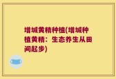 增城黄精种植(增城种植黄精：生态养生从田间起步)